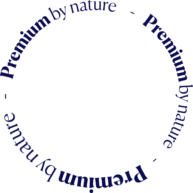 circle of words